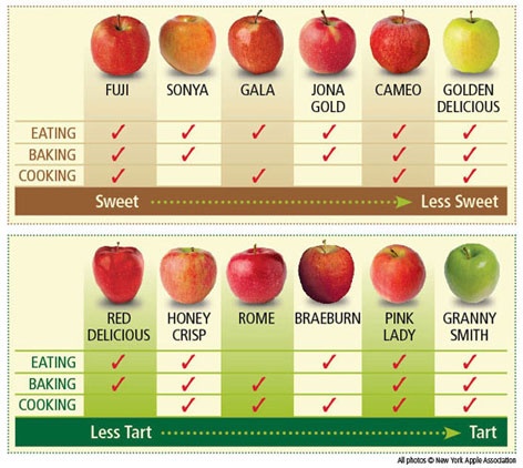 Types Of Apples Chart